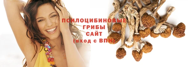 гидропоника Алексин